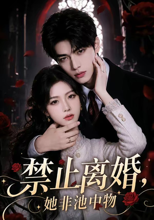 禁止离婚，她非池中物（144集）短剧全集高清无码版